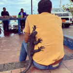 Galapagos Islands