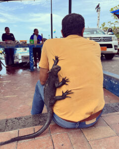 Galapagos Islands