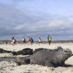 Travelling to the Galapagos Islands