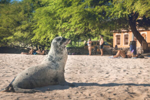 Galapagos Islands