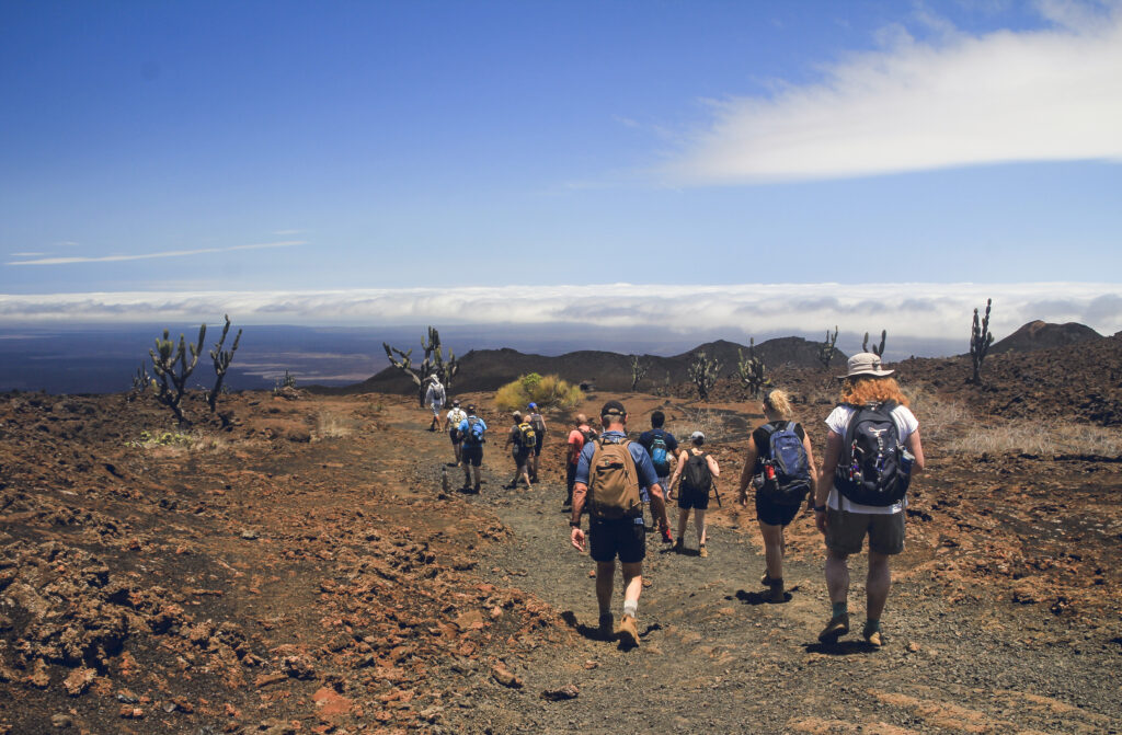 image Galatrails - Mapping your adventure Galatrails - Mapping your adventure image Planning the Ultimate Galapagos Adventure: Activities for Thrill-Seekers