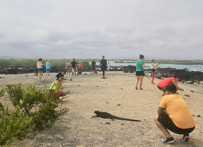 isabela santacruzda4 Galatrails - Mapping your adventure Galatrails - Mapping your adventure isabela-santacruzda4 Isabela & Santa Cruz Combined